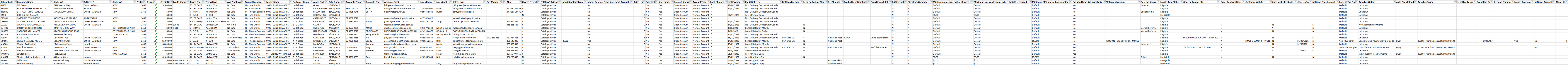 Example of Customer Masterfile Report/Listing - Excel